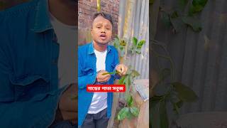 গাছের পাতা youtubeshorts comedy funny ytshorts [upl. by Dnarud]