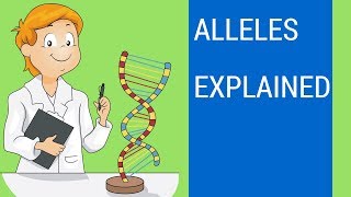 What is an allele   Allele examples [upl. by Ackler]