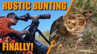 I finally filmed the Rustic Bunting a very Rare Bird [upl. by Ruford]