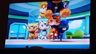 Paw Patrol e Catpack pronti allazione Ryder Signore [upl. by Llywellyn692]