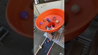 Marble run☆Silver hole circle  DIY wooden ramp Orange hole circle ramp4 asmr [upl. by Aneerahs102]