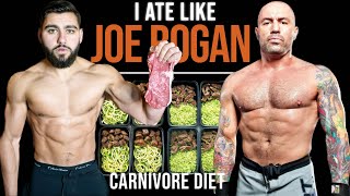 I Tried Joe Rogans Carnivore Diet [upl. by Niels361]