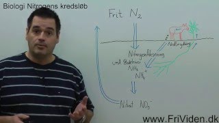 Nitrogens Kredsløb [upl. by Llebana]