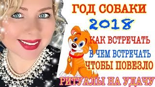 КАК ВСТРЕЧАТЬ 2018 ГОД КАК ВСТРЕЧАТЬ НОВЫЙ ГОД 2018 [upl. by Adelle]