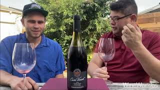 2018 Domaine Beausejour Cuvee Vincent Gamay Touraine Loire Valley Red Wine [upl. by Rosalinda]