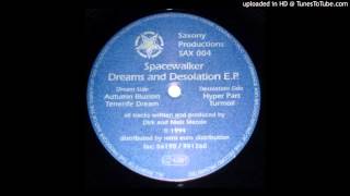 Spacewalker  Tenerife DreamVinyl Rip [upl. by Rufe]