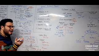 Phytochemistry  Alkaloids 2 Introduction 2  Diab [upl. by Engedus682]