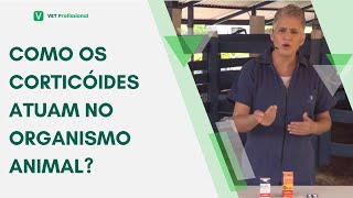 Farmacologia Veterinária Anti Inflamatórios Esteroidais [upl. by Chiang]