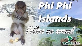 Phi Phi Islands  Travel Diary 3  Thailand  PARADIES  Travelbird [upl. by Enyal]