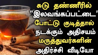 இலவங்கப்பட்டை சுடு தண்ணீரில் போட்டு குடித்தால் Health Benefits of Lavangam Pattai in TamilCinnamon [upl. by Nozicka]