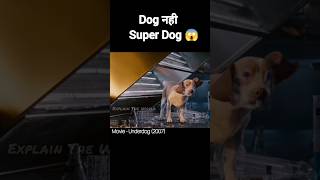 Underdog Full Movie Explained in Hindi  Underdog 2007 shorts underdog dog shortsfeed [upl. by Ames]