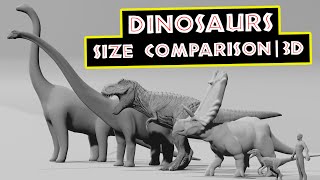 DINOSAURS Size Comparison  3D [upl. by Eigger]