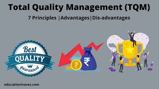 What is Total Quality management TQM  7 Principles of Total Quality Management [upl. by Temme]