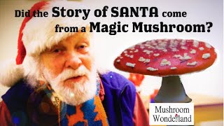 Did the story of Santa come from a Magic Mushroom The story of Amanita Christmas [upl. by Kcireddor848]