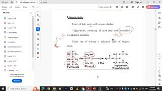 biochemistry lipid [upl. by Noam]