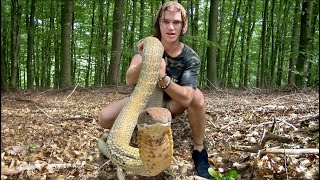 Surviving a KING COBRA BITE in BORNEO [upl. by Ahsocin]