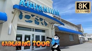 Jenkinsons Boardwalk Aquarium Point Pleasant New Jersey  8K Full Tour amp Travel Review [upl. by Strenta]