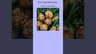 Indian common Root Vegetable Names english indianvegan vegetables vocabulary [upl. by Nahtanaoj]