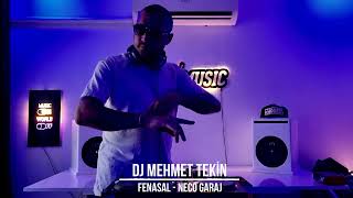 Dj Mehmet Tekin  Fenasal  Neco Power Official Video [upl. by Berget]