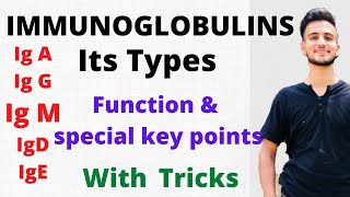 IMMUNOGLOBULINS IgA IgG IgM IgD IgE  Types of Immunoglobulins  Functions of immunoglobulins [upl. by Manley]