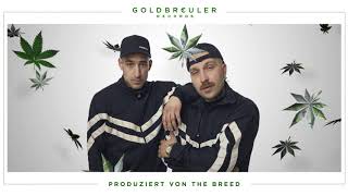 PLUSMACHER  JIBBITS feat Botanikker ► Prod The BREED Official Audio [upl. by Subocaj]