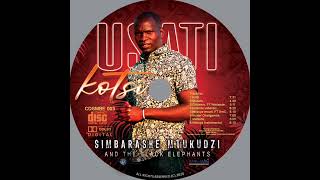 Simbarashe Mtukudzi Latest song Kutenda Vabereki [upl. by Aelyak]