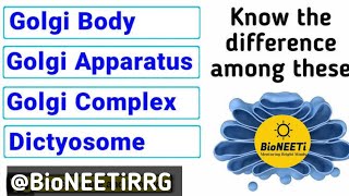 Golgi Body or Apparatus or Complex  Endomembrane System  Cell Unit Of Life [upl. by Chaffin]