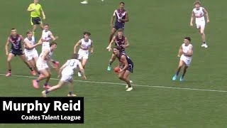 Murphy Reid  Talent League Round 3 [upl. by Doak]