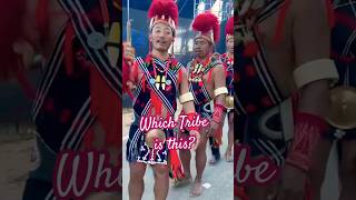 Hornbill 2024 16 Tribes One Spectacular Celebration in Nagaland [upl. by Wolgast]