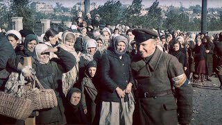 Einsatzgruppen The Nazi Death Squad WWII Documentary [upl. by Icram11]