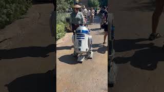 R2D2… Galaxy’s Edge Disneyland [upl. by Rolyat]