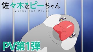 TVアニメ「佐々木とピーちゃん」PV第1弾【2024年1月放送】 [upl. by Reiner]