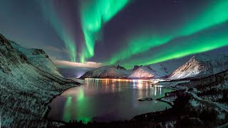 4K Northern Lights Timelapse  Tromsø  Norway  December 2021 [upl. by Hcone220]