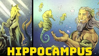 Hippocampus  The Incredible Sea Horses of Greek Mythology [upl. by Hadden]