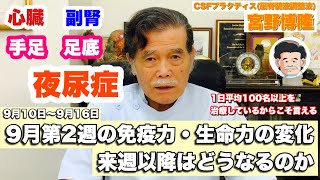 2023年9月第2週826〜92の免疫力・生命力の変化‼︎ 【宮野博隆】ＣＳＦプラクティス（脳脊髄液調整法） [upl. by Bab68]