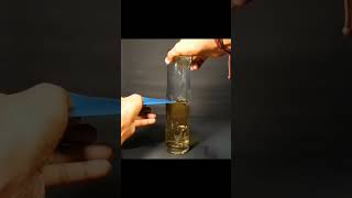 SCIENCE के गज़ब के EXPERIMENTS 🔥🤯 experiment facts scinceexperiment shorts magic challenge [upl. by Spindell]