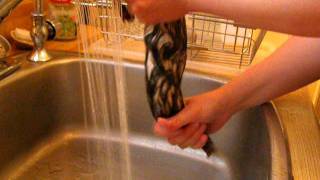 Ferret FAQs and Tutorials How to Bathe a Ferret [upl. by Schoenfelder947]