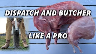 How to Raise and Butcher Meat Rabbits COMPLETE GUIDE [upl. by Gadmann]