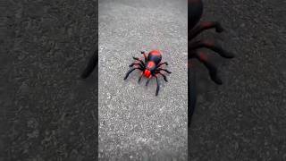 Monser Innovation RC Spider BlackRed 🕷️🕷️🕷️🕷️ [upl. by Riccardo25]