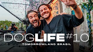 DOGLIFE 10  Tomorrowland Brasil [upl. by Druce]