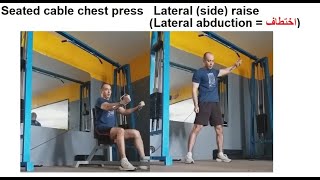 Brignole 5 seated cable chest press lateral raise 2 moves [upl. by Mueller]