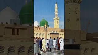 Dar e nabi 💖💓दार ए नबीshortvideo viralshorts [upl. by Biagio244]