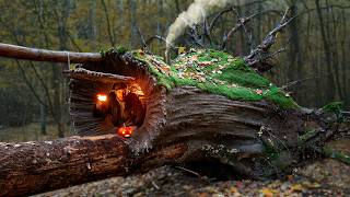 Building a Warm and Cozy Hollow for Survival in the root of a fallen spruce Secret cave Bushcraft [upl. by Rekrap]