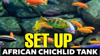 How To Setup An African Cichlid Tank 🐟 [upl. by Kolva]