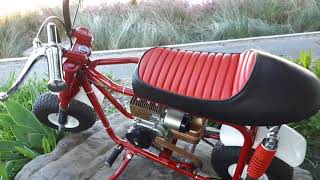 DELTEK BRIGGS amp STRATTON MINI BIKE 1970 [upl. by Juanita338]