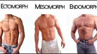 Ectomorph  Endomorph  Mesomorph  The 3 Different Body Types [upl. by Anaillil490]