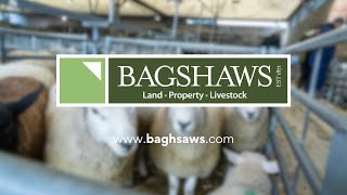 Bagshaws Livestock Sales [upl. by Yul386]