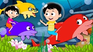 We Are The Dolphins  Kindergarten Songs And Videos For Kids [upl. by Zeus]