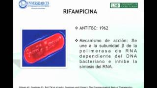 Hepatotoxicity Induced by Antituberculous Medications  Marie Claire Berrouet Mejia [upl. by Knick]