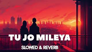 TU JO MILEYA LOFI SONG  lofi viral song 2024  slowed amp reverb song lofi music night trending [upl. by Hammel]